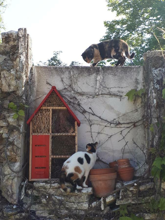 Au Chat Perche Mareil-sur-Mauldre ภายนอก รูปภาพ